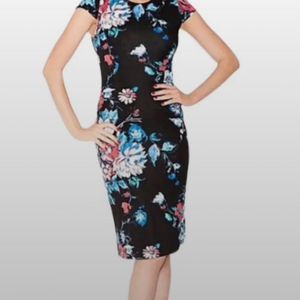 The dress in the image is a Betsey Johnson Floral Cap-Sleeve Sheath Dress size 2